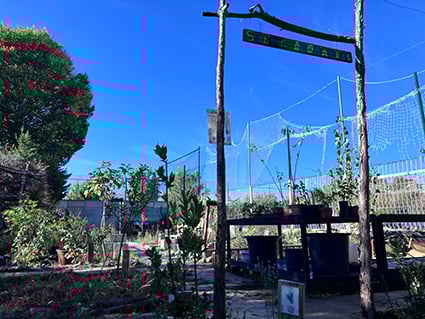 ao-sendaBotanica